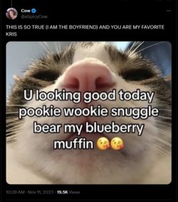 selfid is vslid.png