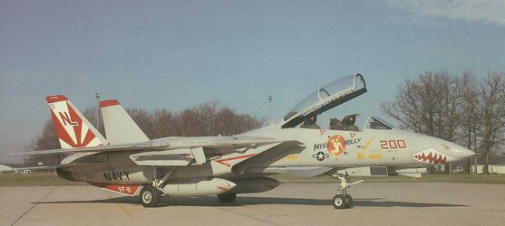 su1-VF-111-F-14A-Tomcat-Miss-Molly.jpg