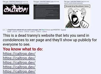 Screenshot_20231112_143408_Brave.jpg