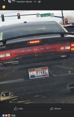 R:T wing.jpg