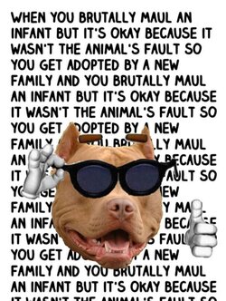 1A737AB8-EF3A-4565-A8FD-6833A07B7386.jpeg