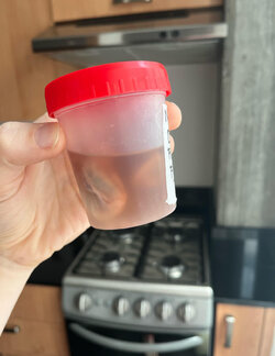 IMG_0078.jpeg
