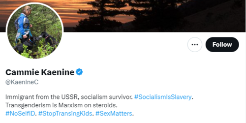 1699932323671.png