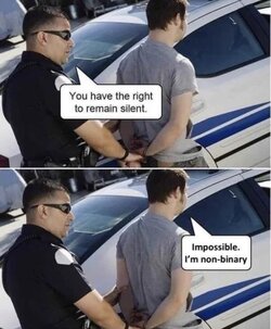 1699939534820.jpeg