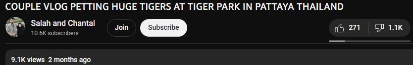COUPLE VLOG HUGE TIGERS AT TIGER PARK IN PATTAYA THAILAND.jpg