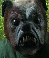 Dirty-Dog-p.jpg