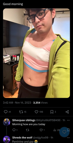 Screenshot_20231114_075317_Chrome.png