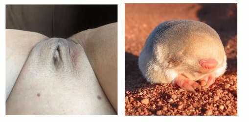 Pouch_amhole4.jpg