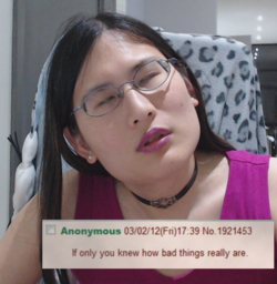 1700083525996.png