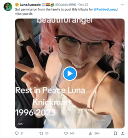 Screenshot 2023-11-16 at 20-56-19 PaddedLuna - Search _ X.png