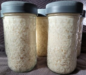 Horseradish jars.jpg
