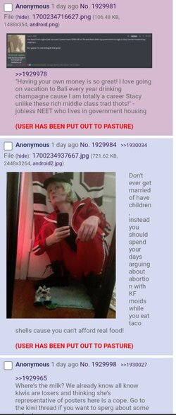 Screenshot_20231118-204754_Brave.jpg