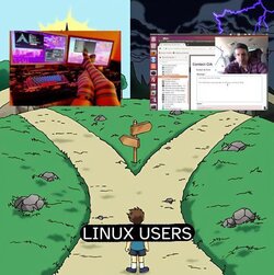 two types of linux users.jpg