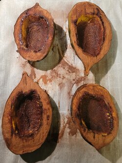 Acorn squash2.jpg