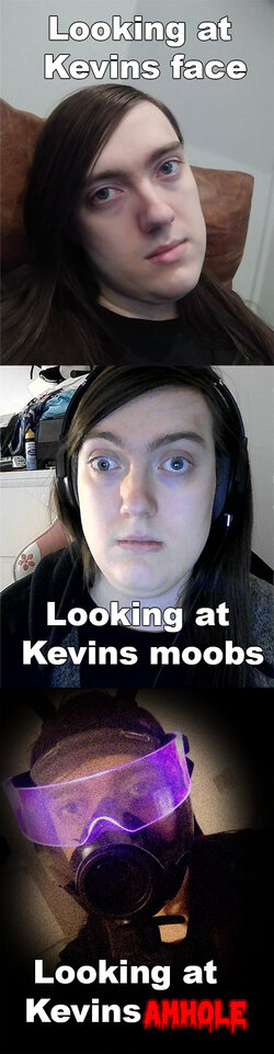 stebslife.jpg