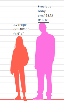 height.png