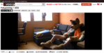 vid-4.png