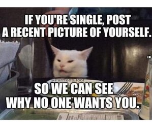 FB_IMG_1700690772095.jpg