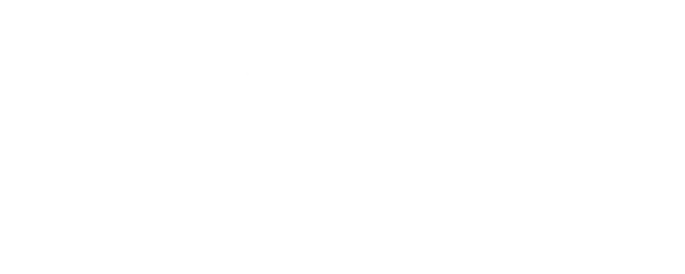 bonus.png