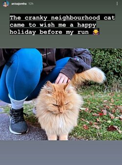 Screenshot_20231124_061327_Instagram.jpg