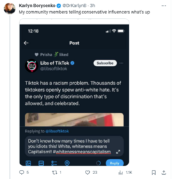 karlyn community member calling people idiots.PNG