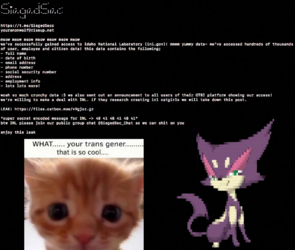 1700918302123.png