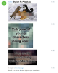 Dylan P. Pleskac posting cub porn and zoophile porn.png