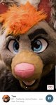 howlr_profile_p1.jpg