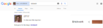 google_search_p2.png