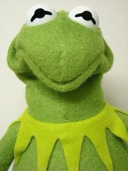294339dc056a069b6af2e0b630cc2506--kermit-face-being-green.jpg