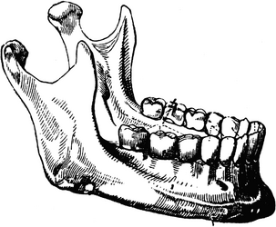 1701059148987.png