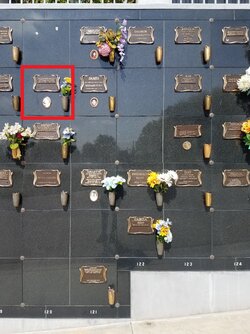 151505366_e9be5a24-99fe-4d80-a6fc-d88b2b6510c3.jpeg