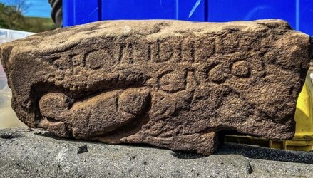 phallus2-800x456.jpg