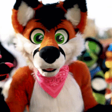 screenshot5.gif