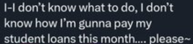 muh heckin loaneroonies.png