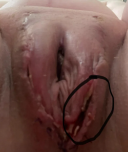 1701293149194.png