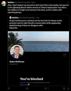 hoff3.jpg