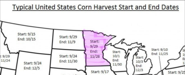 corn.png