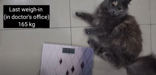 scale.JPG