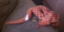 1701387980891.png