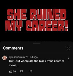Screenshot_20231202_150117_YouTube.jpg