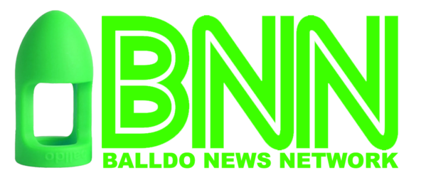 bnn2.png