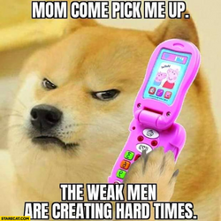 1701543086115.png