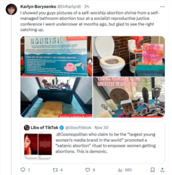 karlyn libs of tick tok abortion.PNG