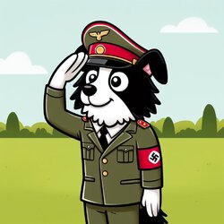 das_collie.jpeg