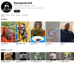 deanhaddon3.png