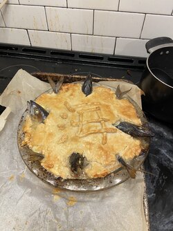 IMG_6984.jpeg