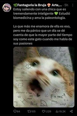 FB_IMG_1701739869437.jpg