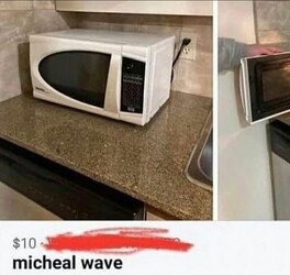 micheal wave.jpg