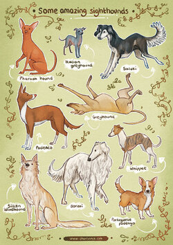 CharliVince_PosterPrint_02_website.jpg